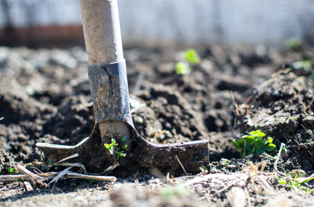 tips voor het verbouwen vna je tuin