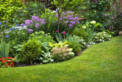 tuin-beplanten